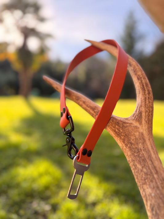 Ceinture de sécurité