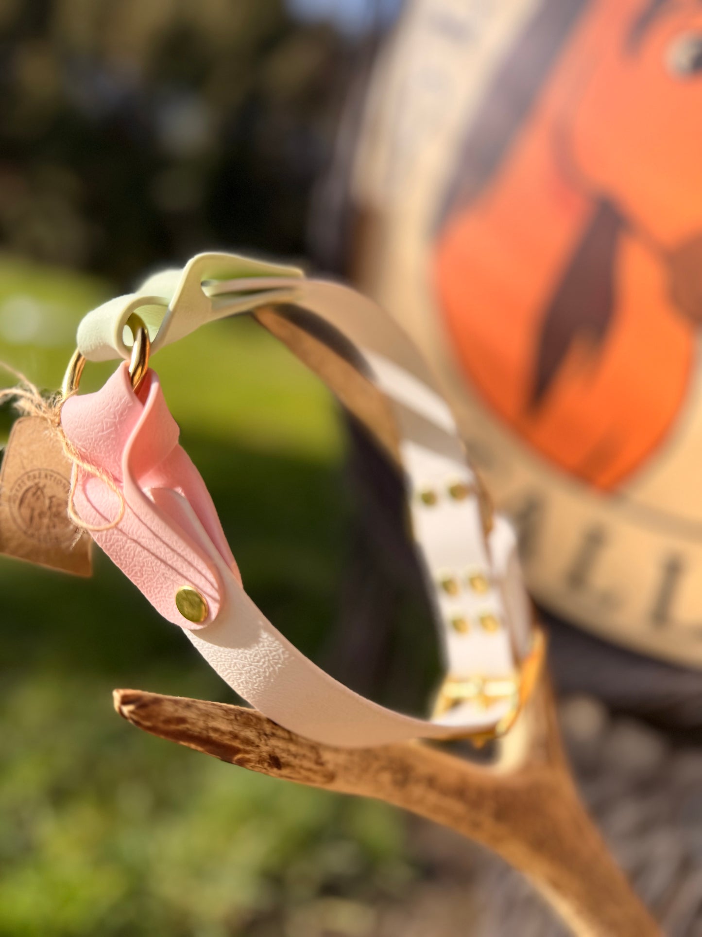 ✨ Collier Nova ✨