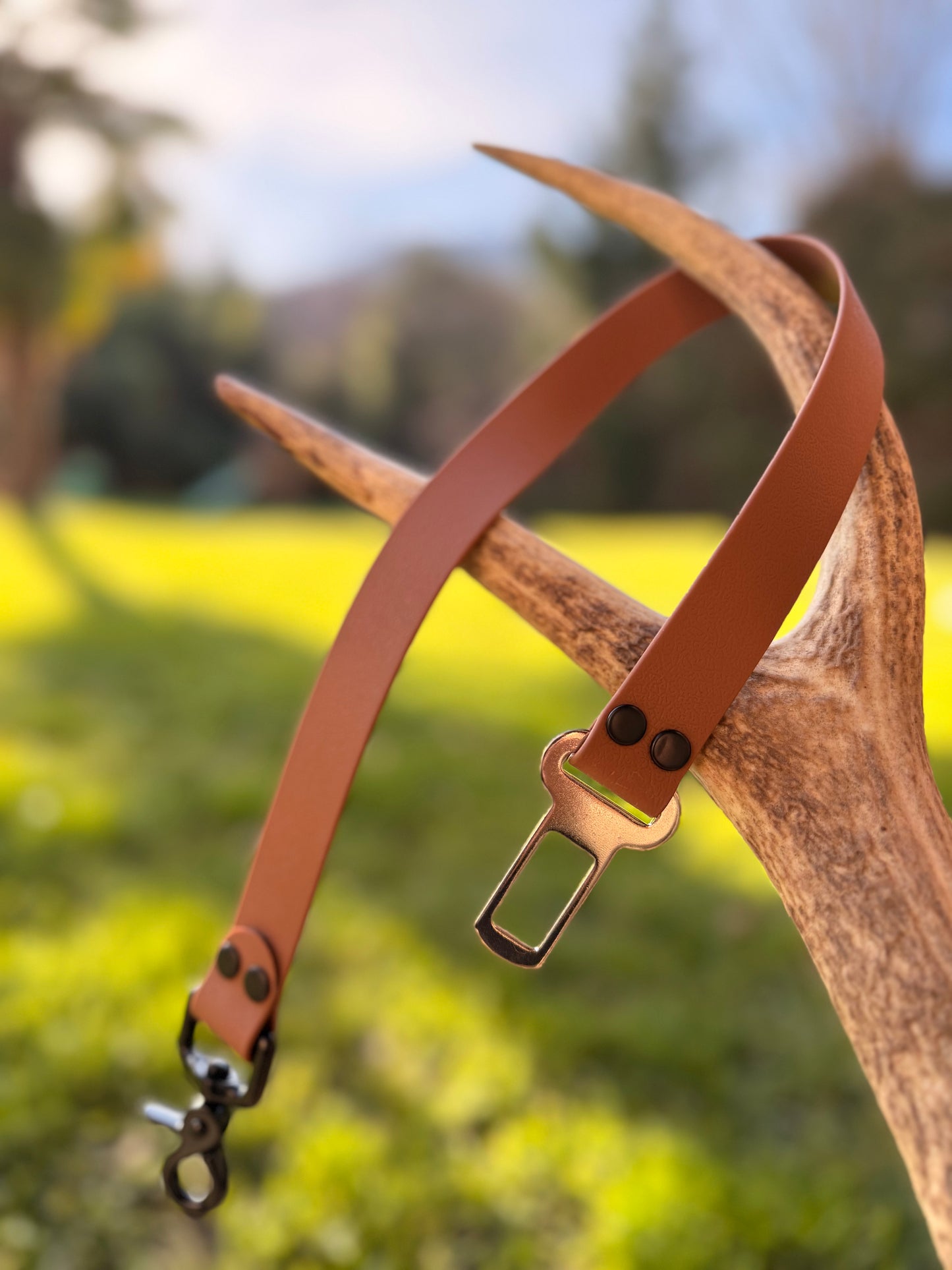 Ceinture de sécurité