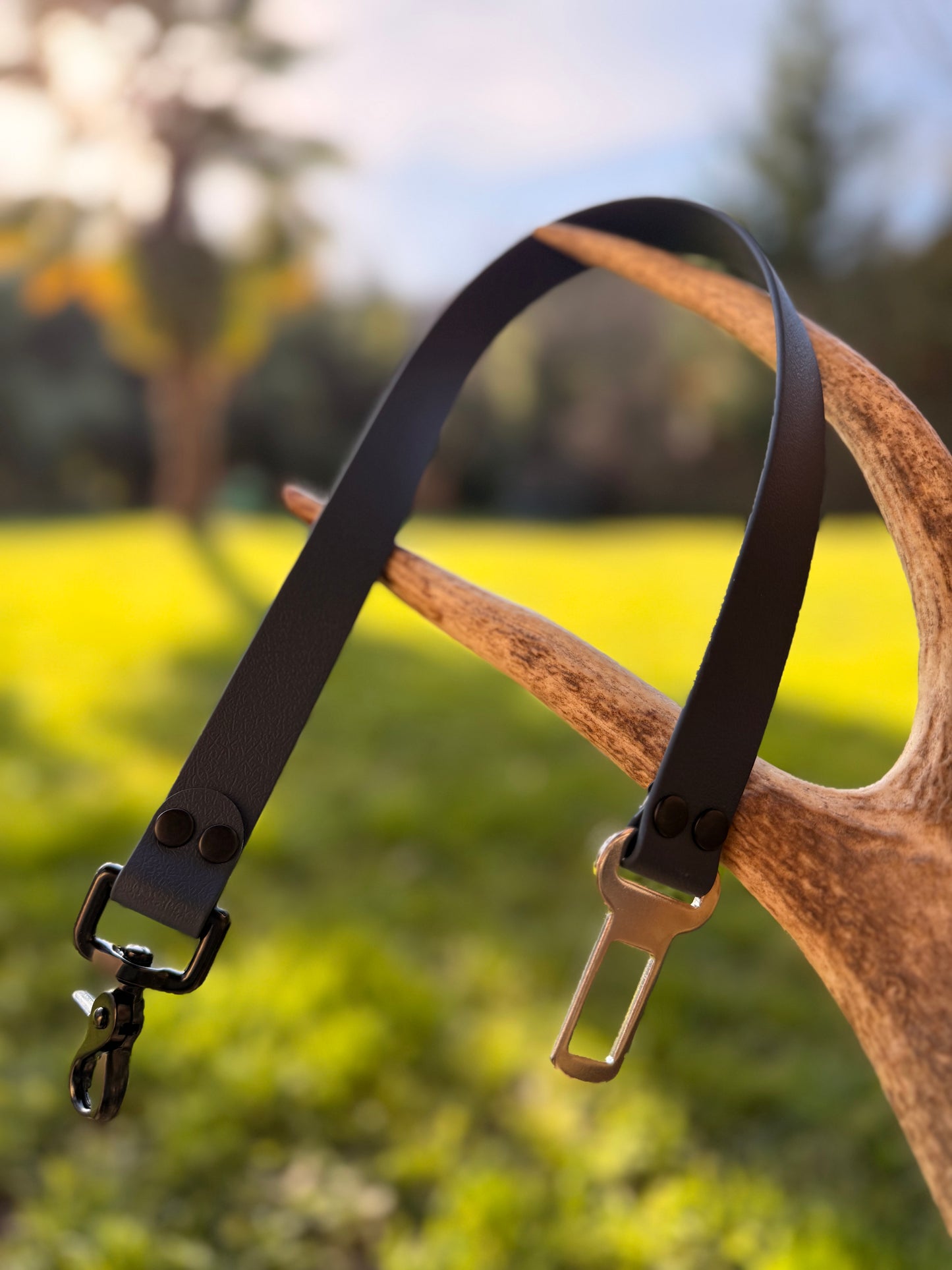 Ceinture de sécurité