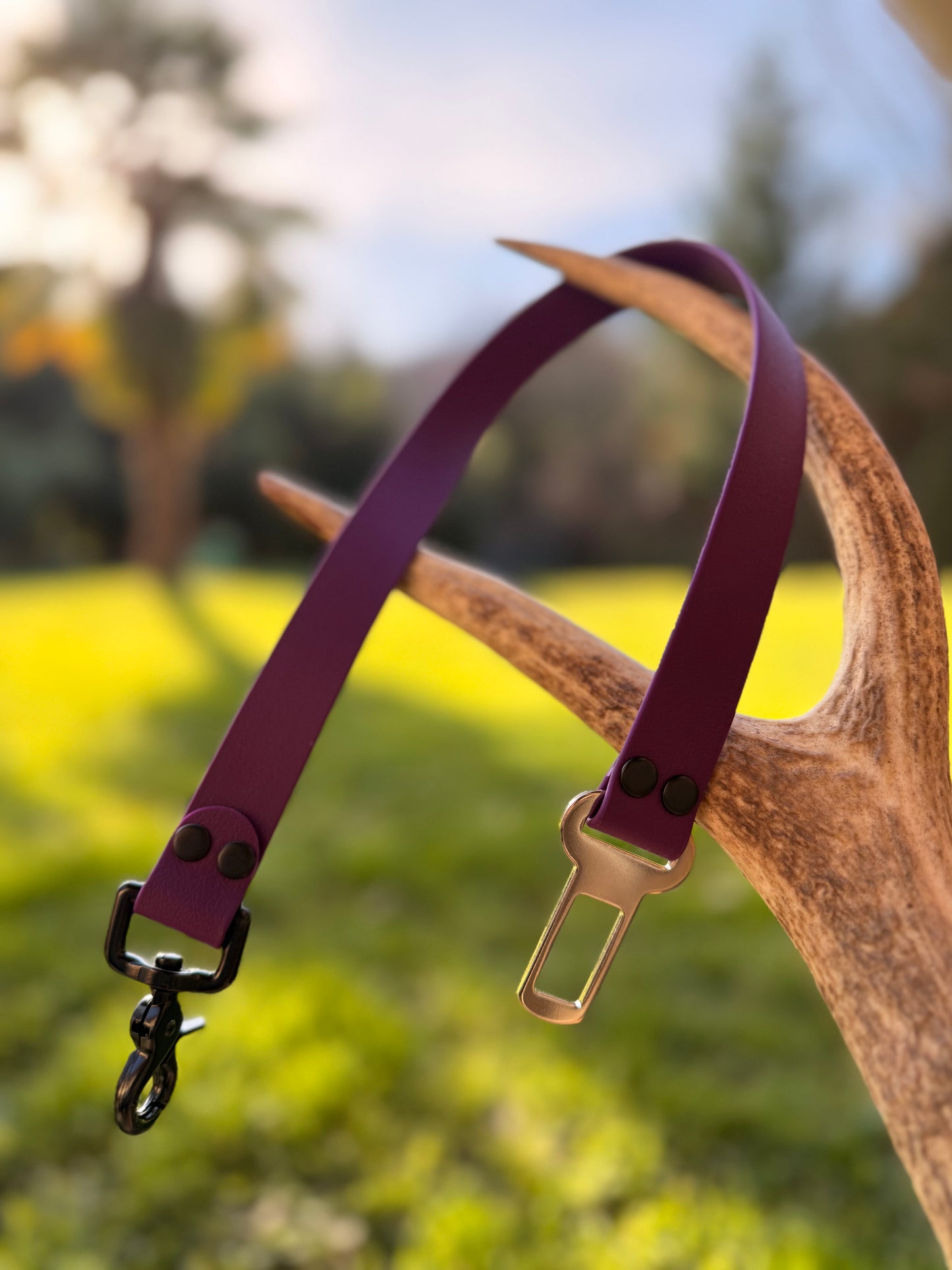 Ceinture de sécurité