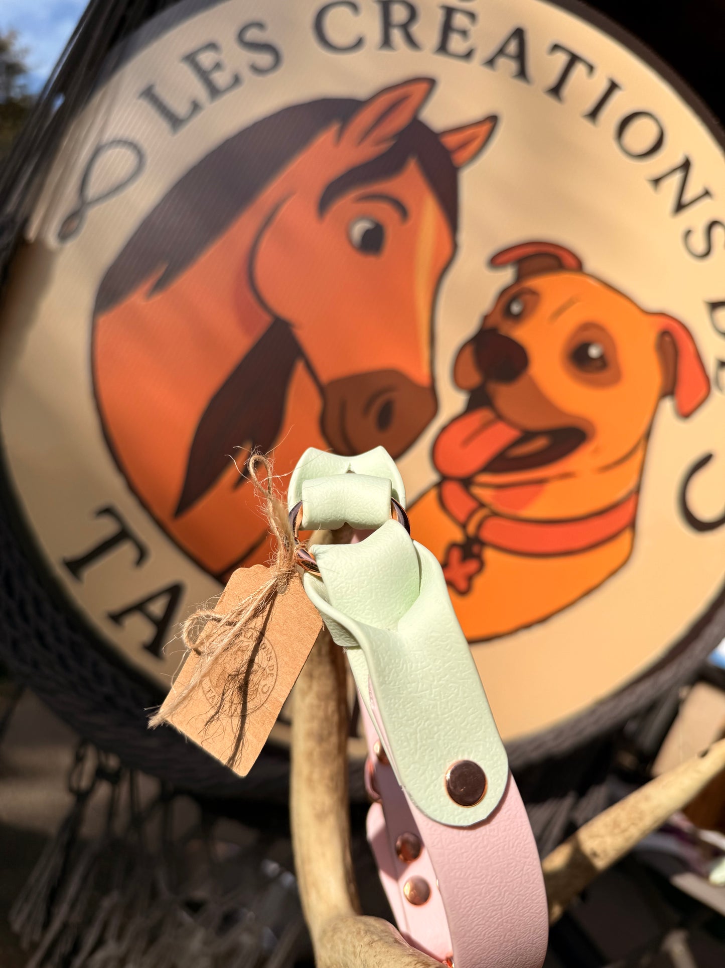 ✨ Collier Nova ✨