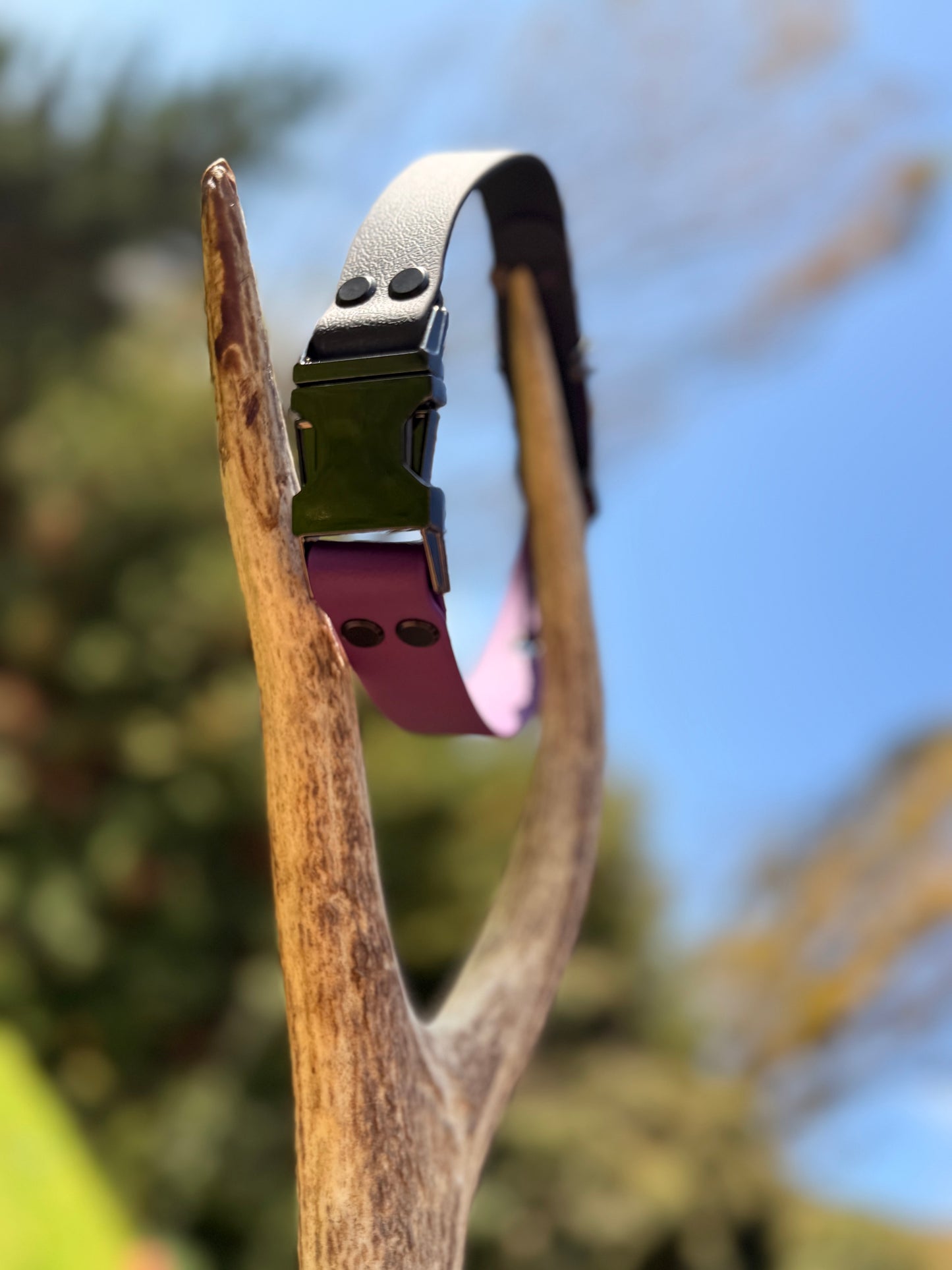 Collier interchangeables