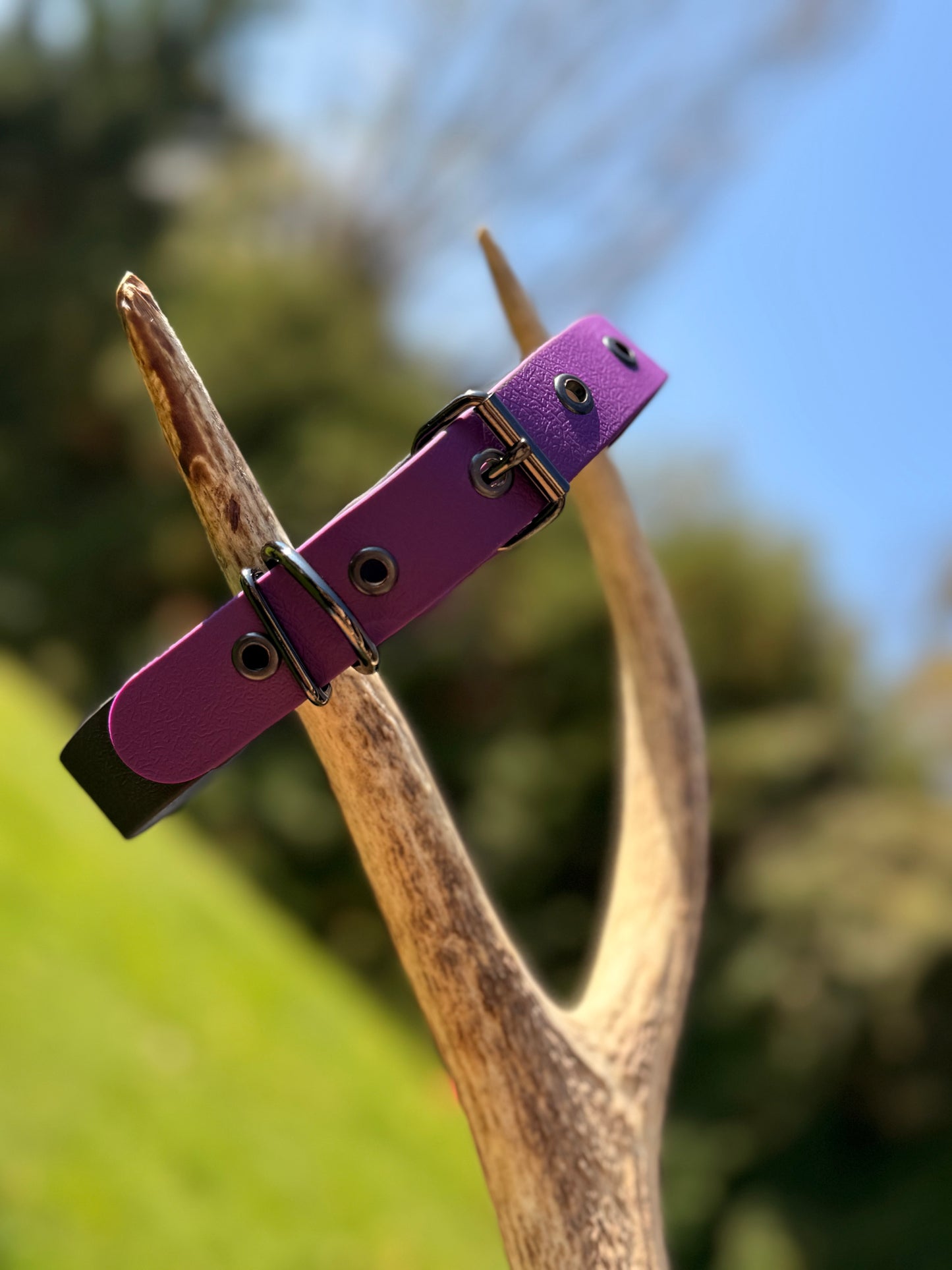 Collier interchangeables