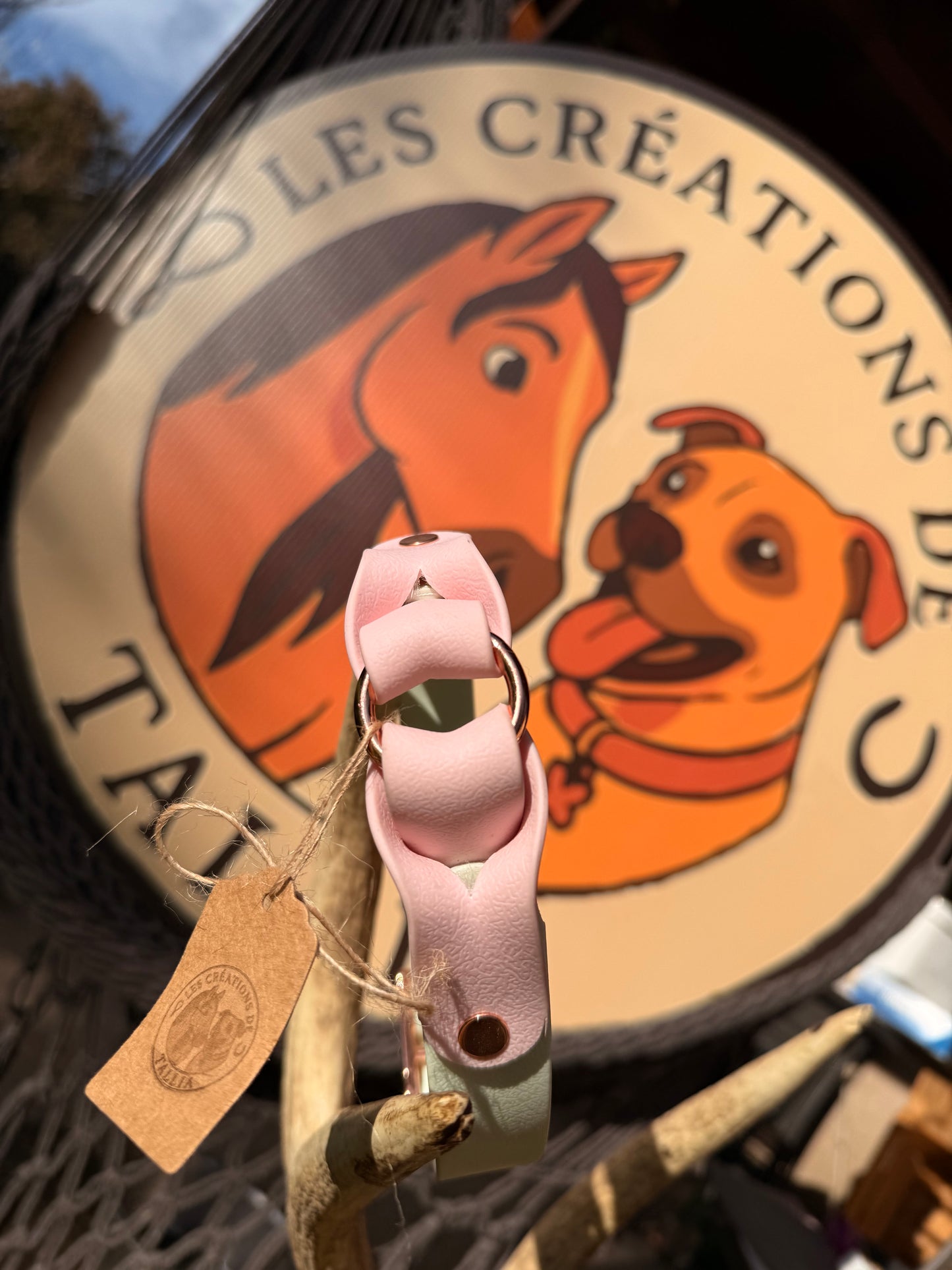 ✨ Collier Nova ✨