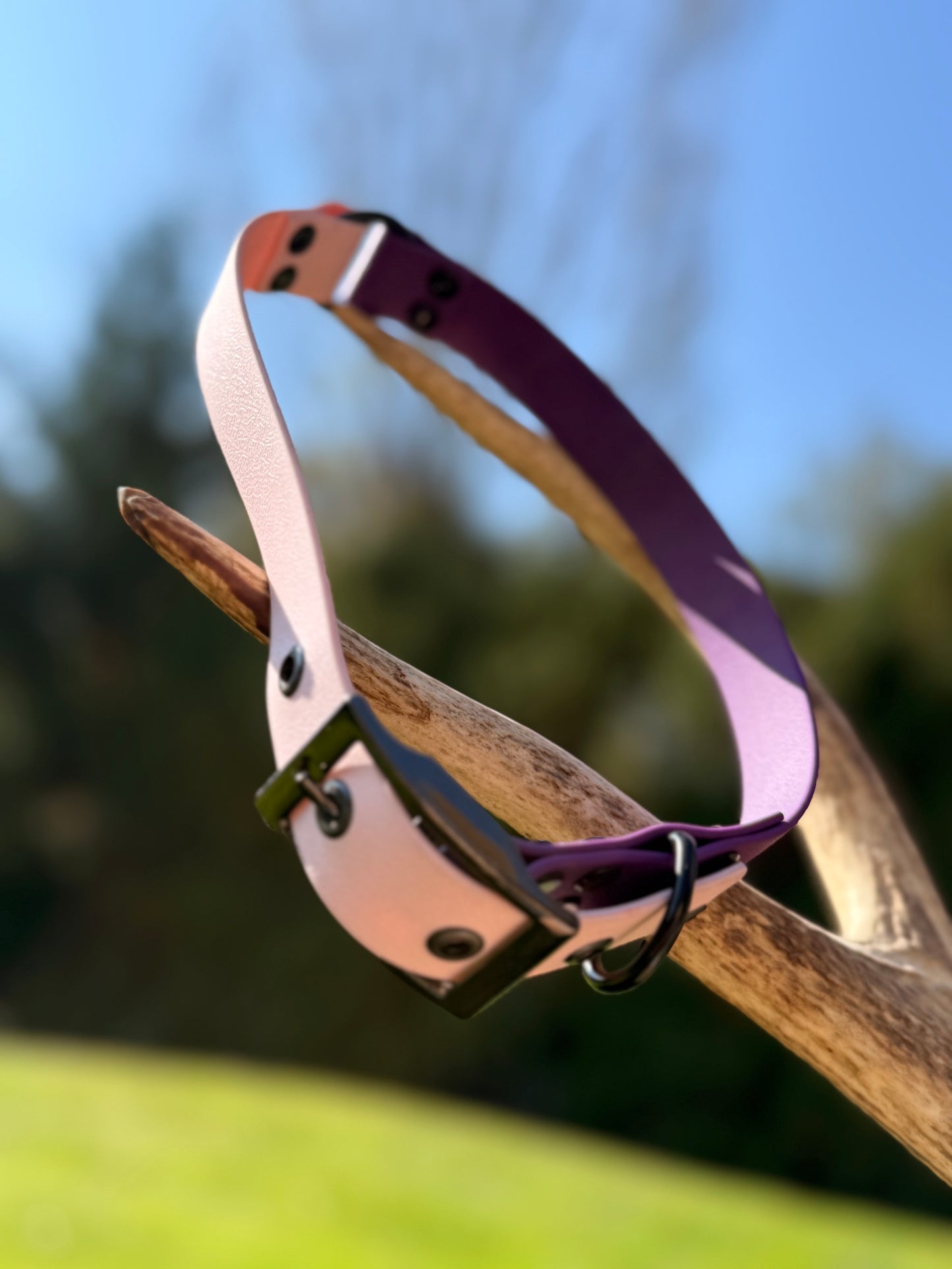 Collier Duo Élégance