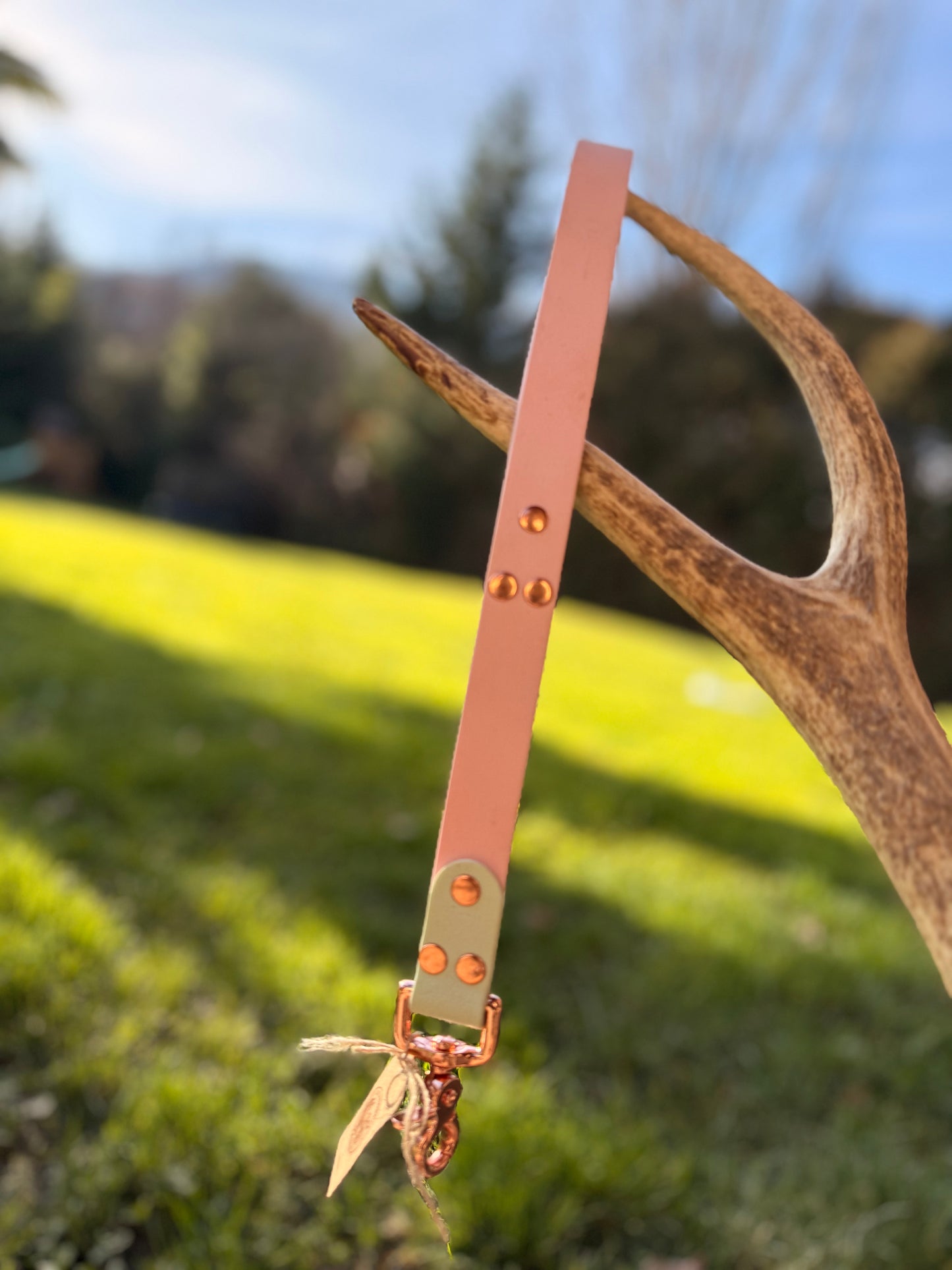 ✨ Poignée Élégance ✨