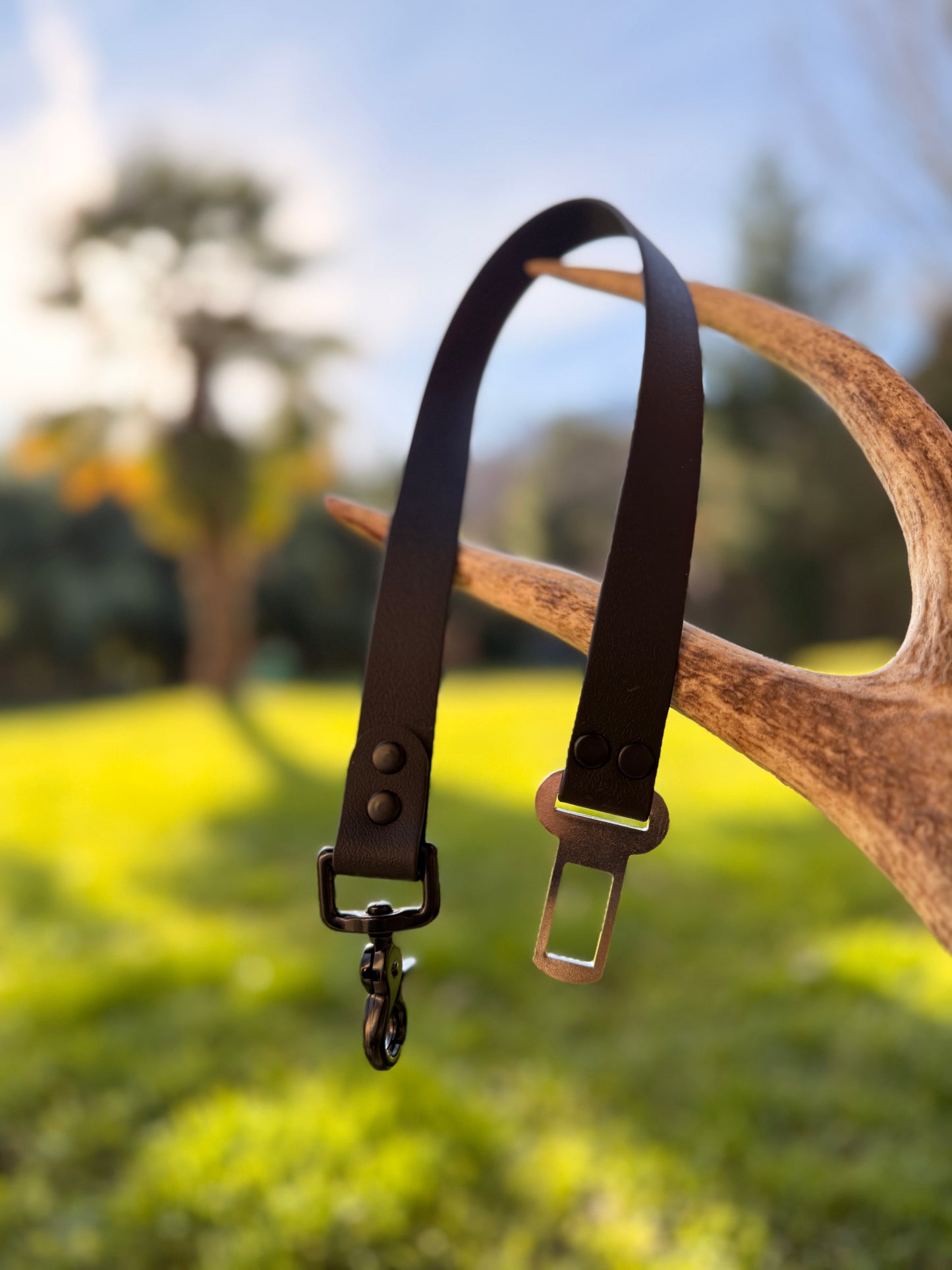 Ceinture de sécurité