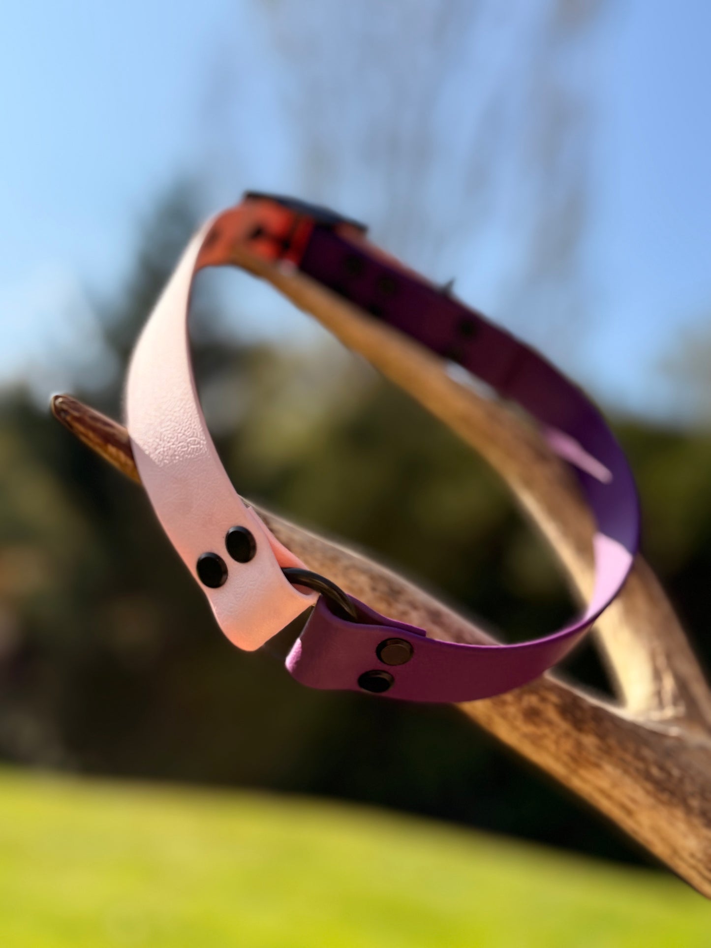 Collier Duo Élégance