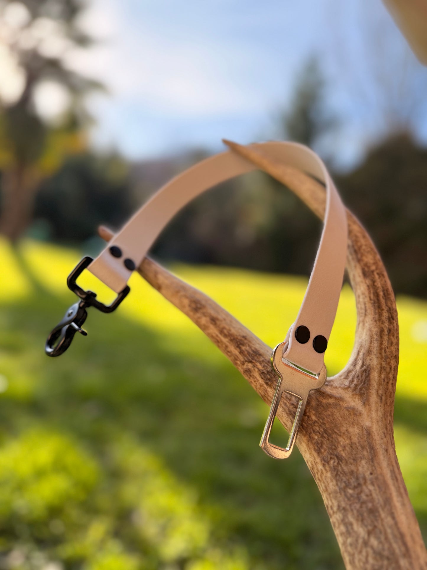 Ceinture de sécurité