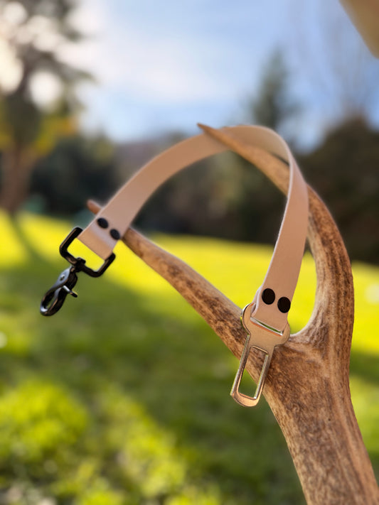 Ceinture de sécurité