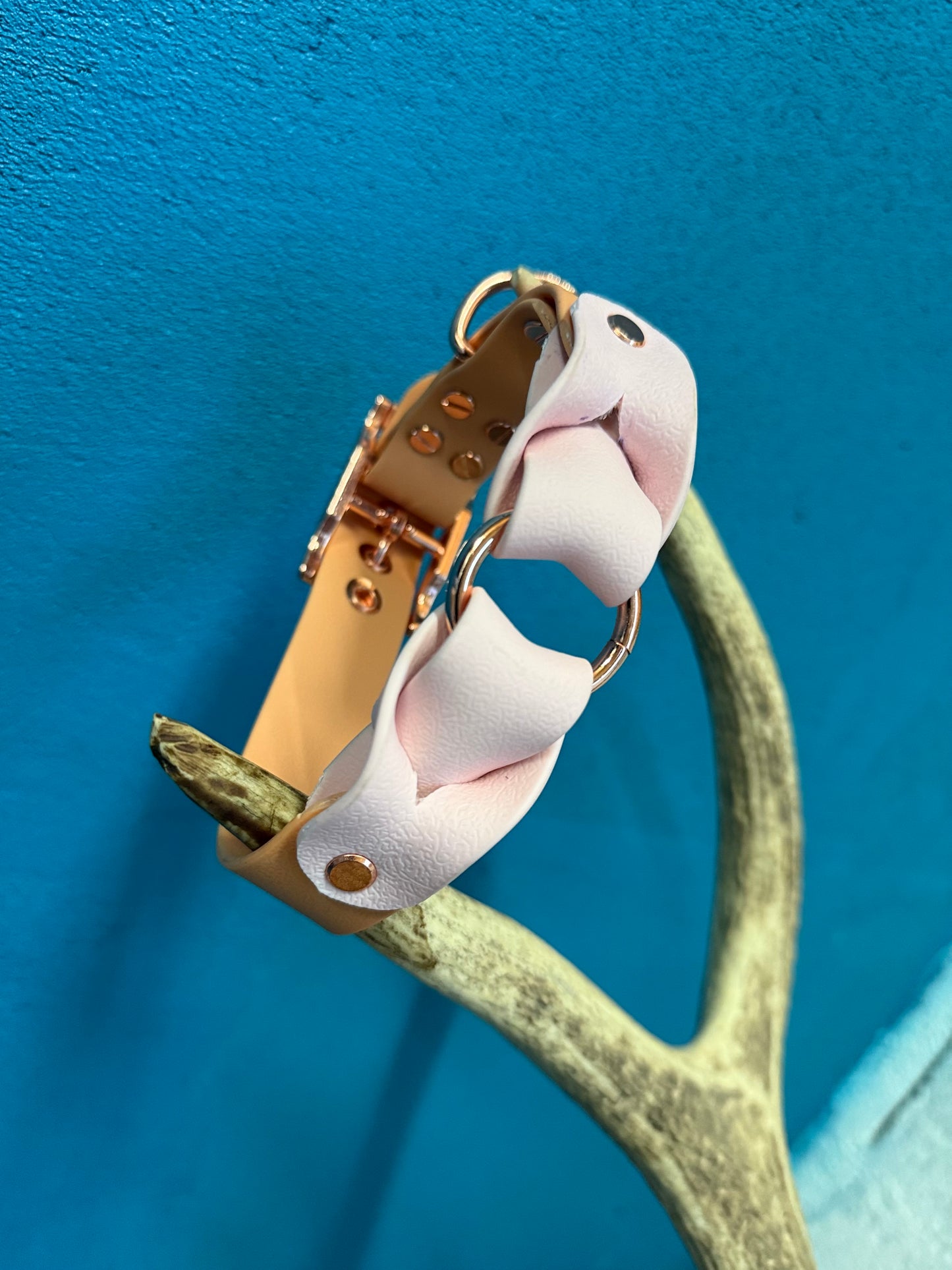 ✨ Collier Nova ✨