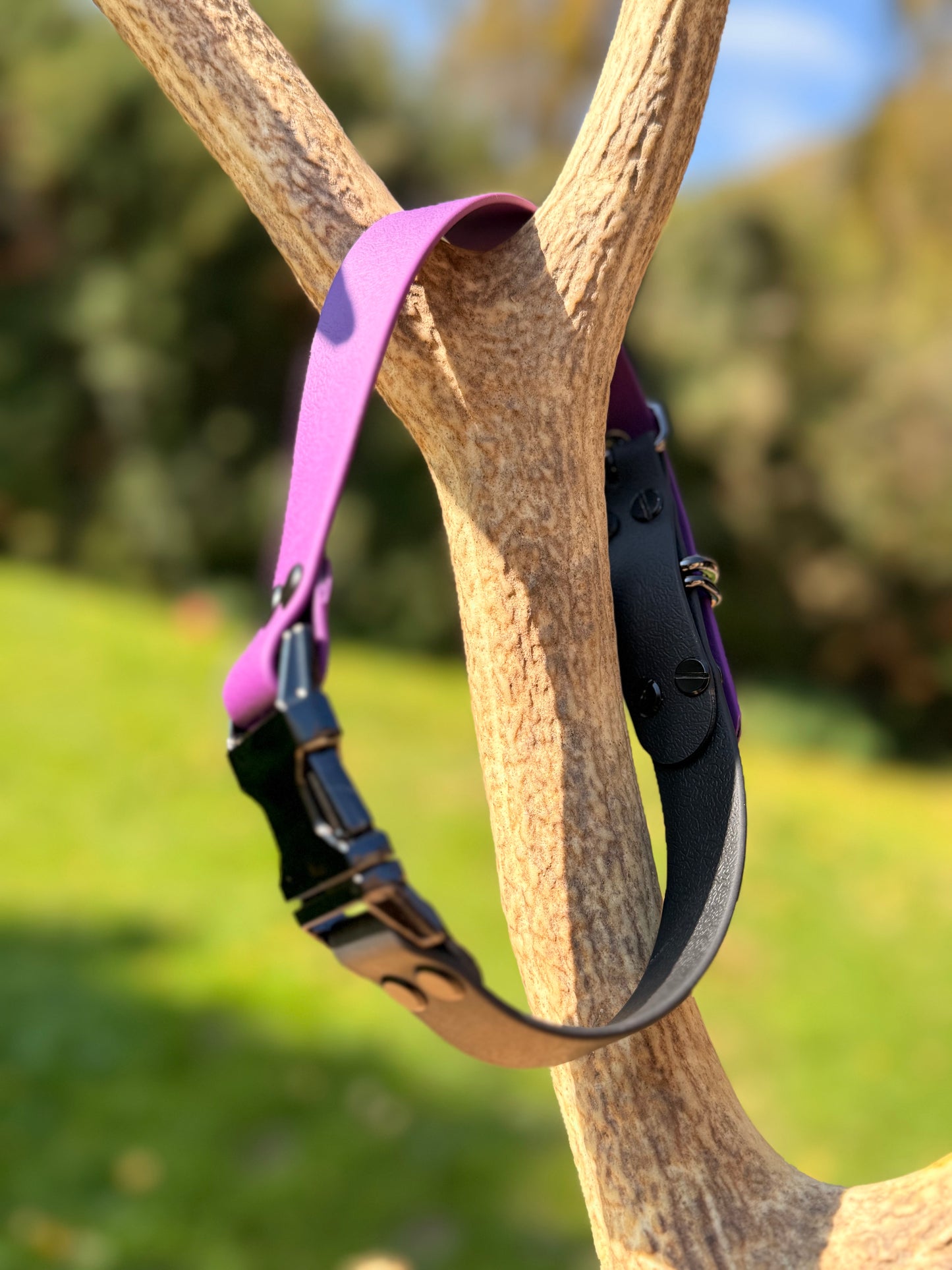 Collier interchangeables