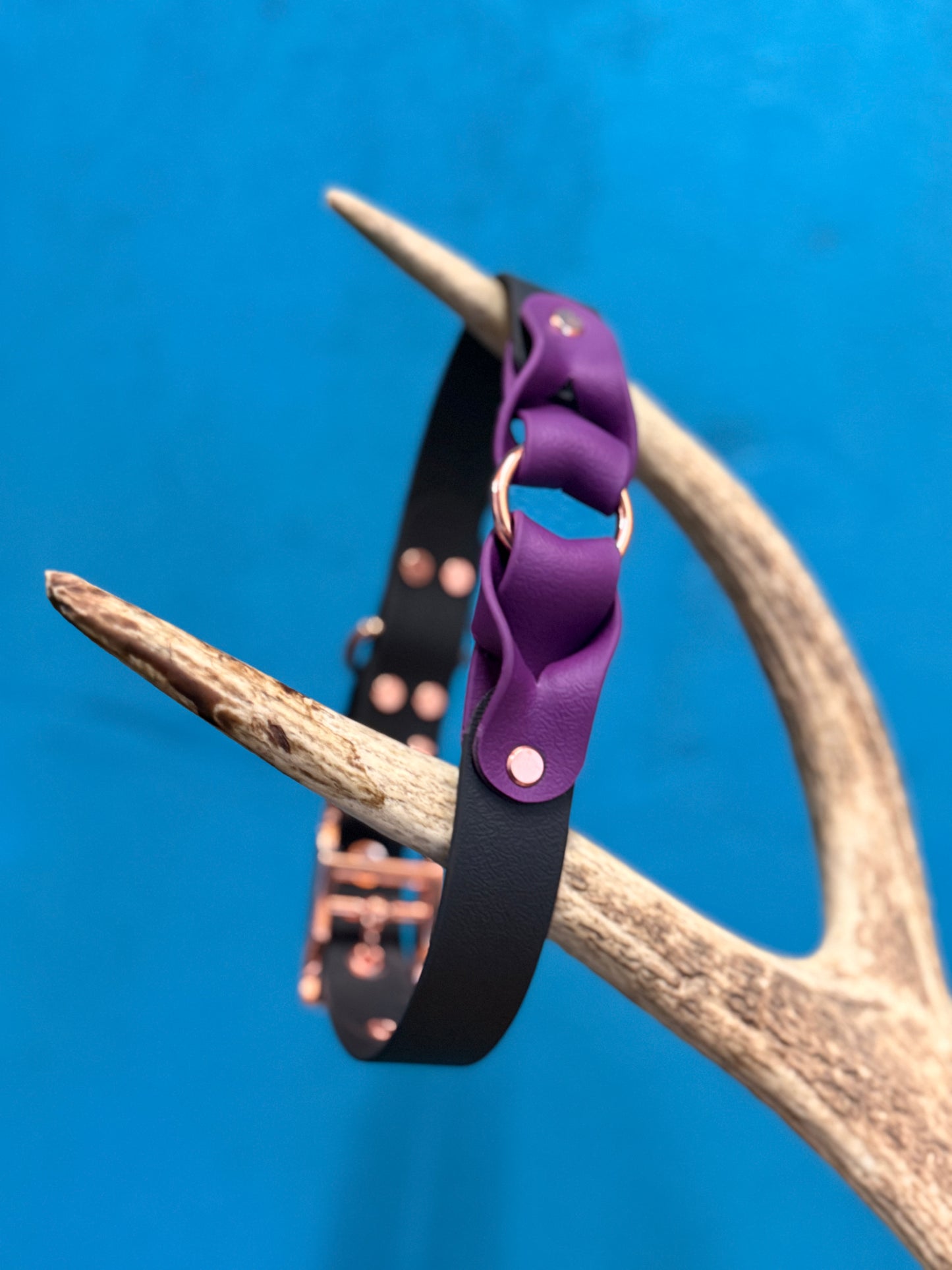 ✨ Collier Nova ✨